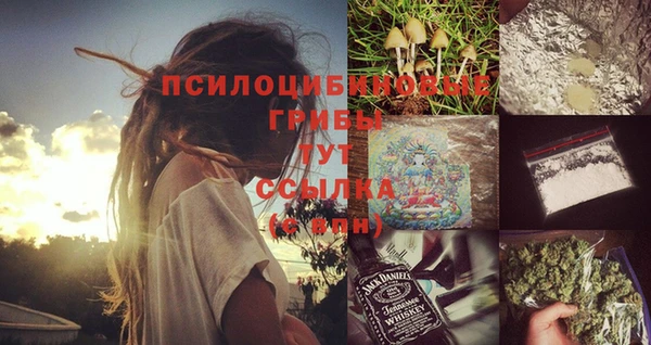 винт Арсеньев