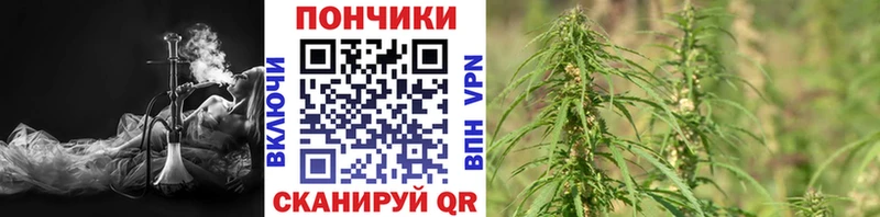 Бошки Шишки Bruce Banner  Славянск-на-Кубани 